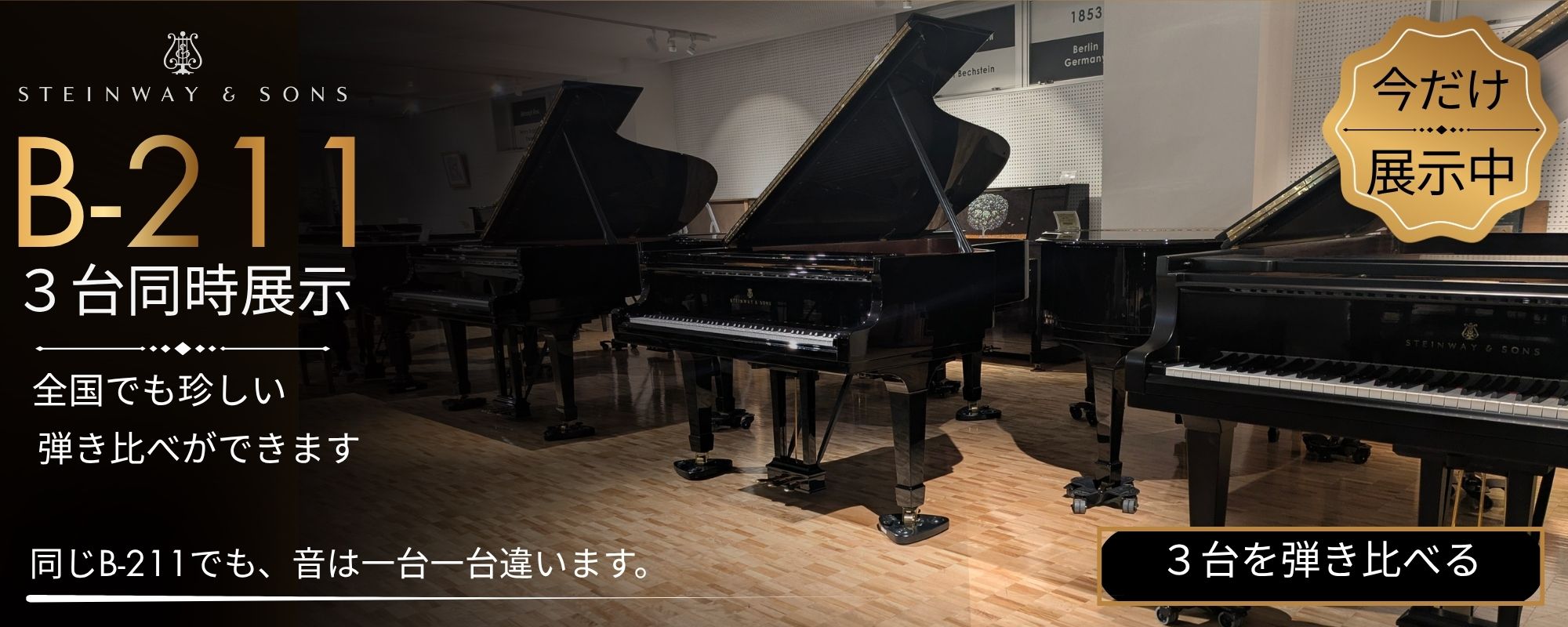 B211弾き比べ.jpg
