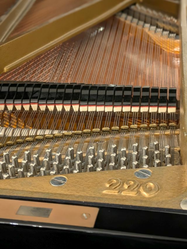 GROTRIANSTEINWEG（グロトリアン・シュタインヴェーク） 220 中古