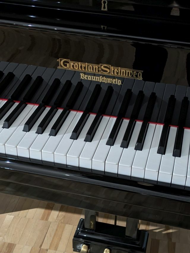 GROTRIANSTEINWEG（グロトリアン・シュタインヴェーク） 220 中古
