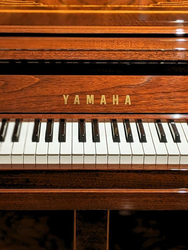 【Rosanoriページ】YAMAHA ピアノ椅子　茶　ウォールナット Yamaha Arius YDP-184 Digital Piano - Rosewood COMPLETE HOME BUNDLE