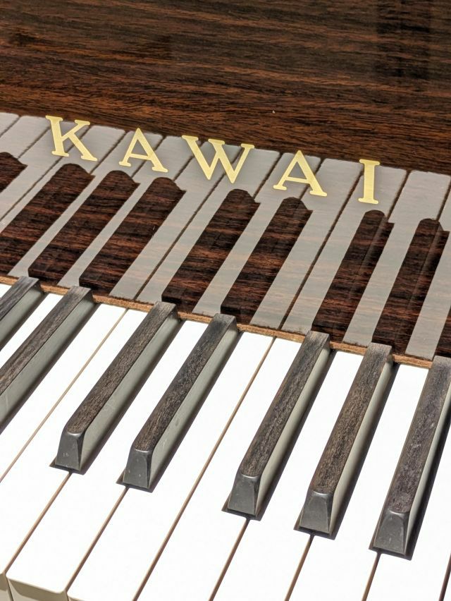 KAWAI（カワイ） H201R 歴史的名作ピアノ カスタムデザイン アート