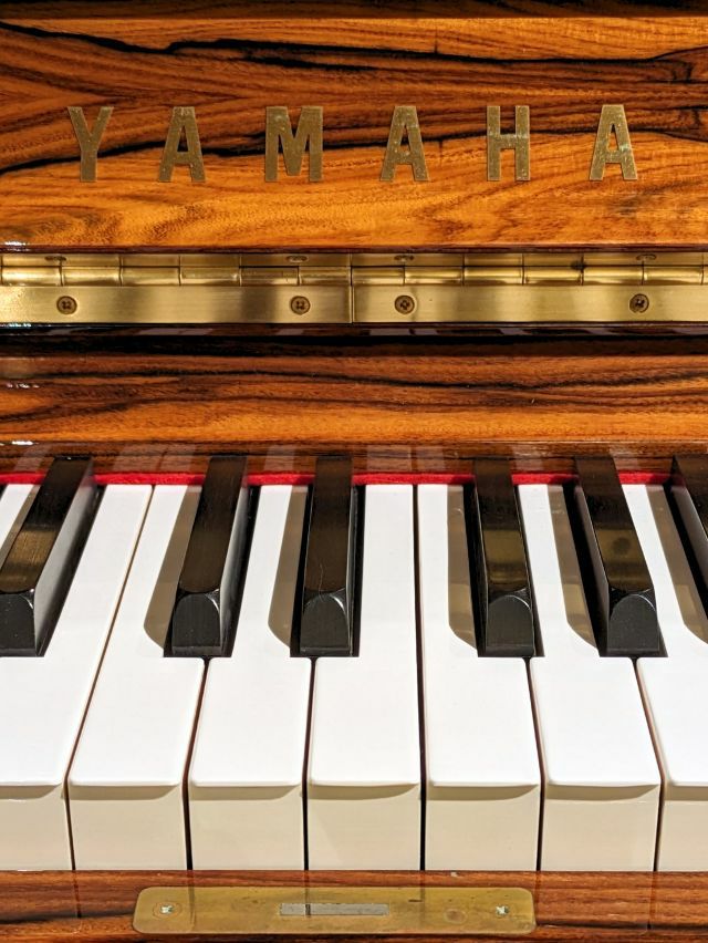 YAMAHA（ヤマハ） CUSTOM 歴史的名作ピアノ プレミアム アート 