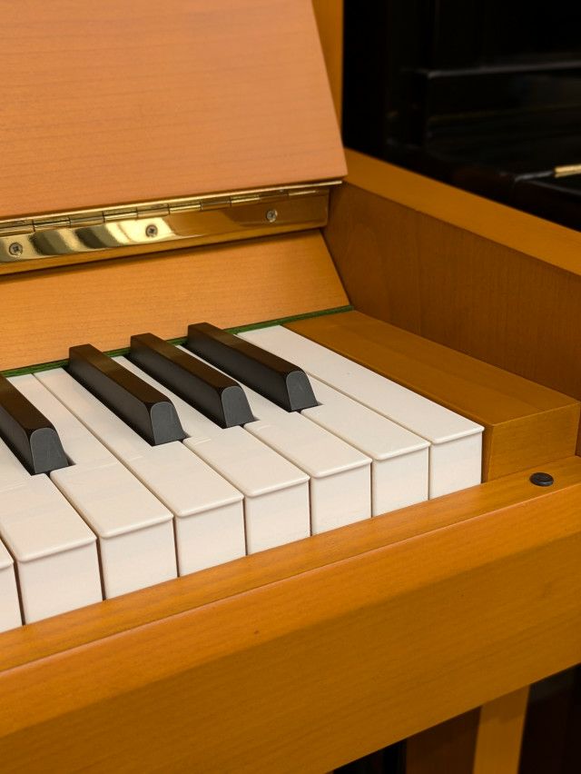 BECHSTEIN（ベヒシュタイン） A3 中古ピアノ 「ベヒシュタイン 