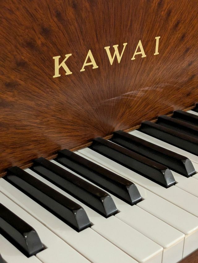 KAWAI（カワイ） CD700 歴史的名作ピアノ カスタムデザイン アート