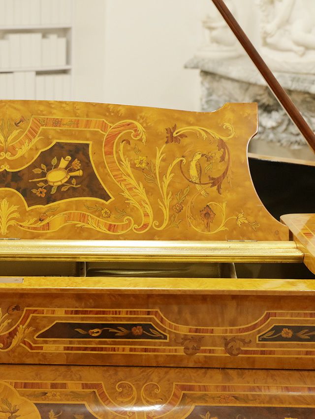 STEINWAY＆SONS（スタインウェイ＆サンズ） Model.A_Special 中古