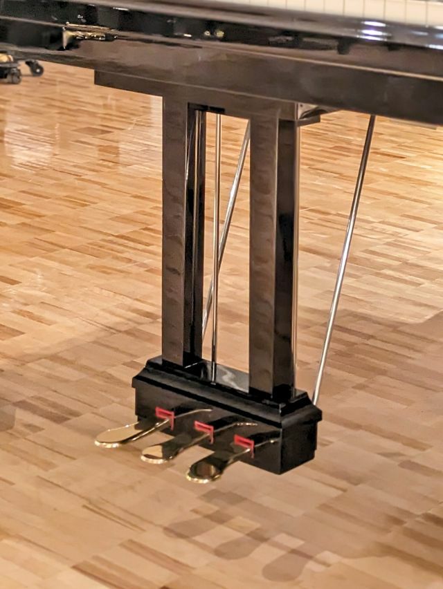 DIAPASON（ディアパソン） DR211BG 中古グランドピアノ 研ぎ澄まされた