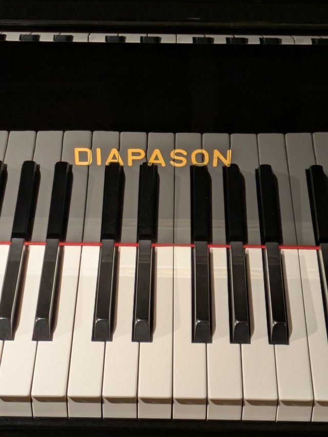 DIAPASON（ディアパソン） D171BG 中古グランドピアノ お手ごろ価格の