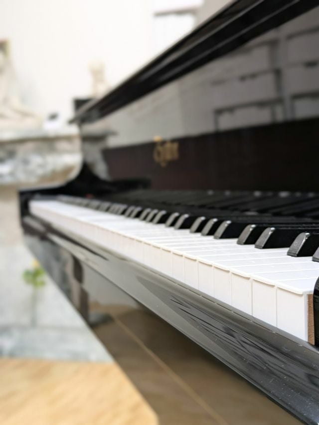 BOSTON（ボストン）GP156II　鍵盤