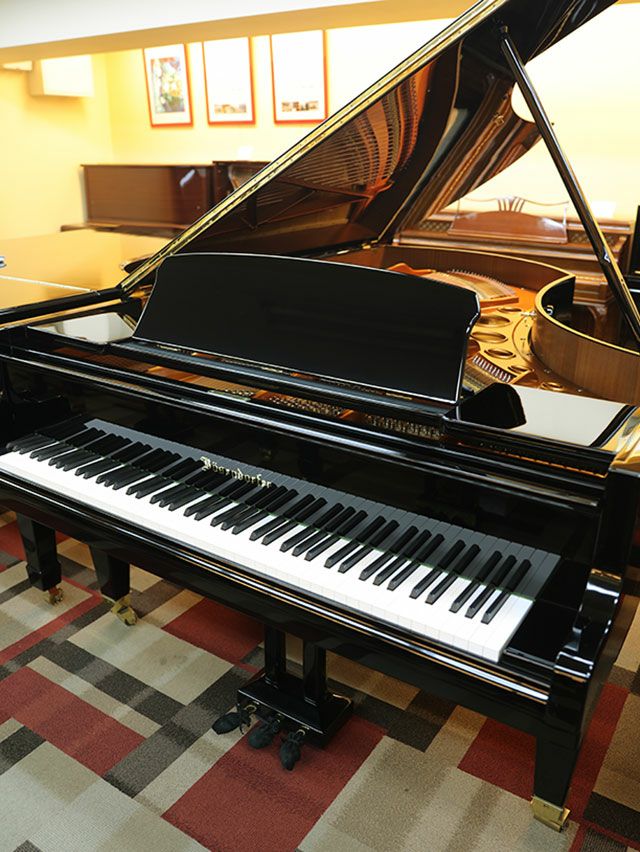 BOSENDORFER（ベーゼンドルファー） 225 中古グランドピアノ 「音楽の