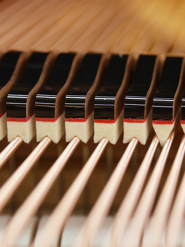 BOSENDORFER（ベーゼンドルファー） 225 中古グランドピアノ 「音楽の