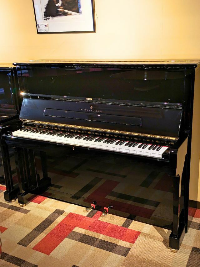 STEINWAY＆SONS（HAM）（スタインウェイ＆サンズ） V125 中古ピアノ