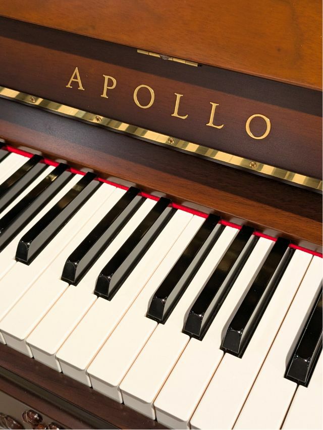 APOLLO(アポロ) A120_PIERRE 新品台数限定復刻モデル 「ピエルレ