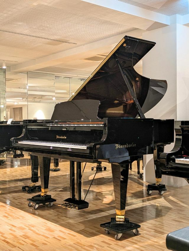 BOSENDORFER（ベーゼンドルファー） 225 中古グランドピアノ 「音楽の