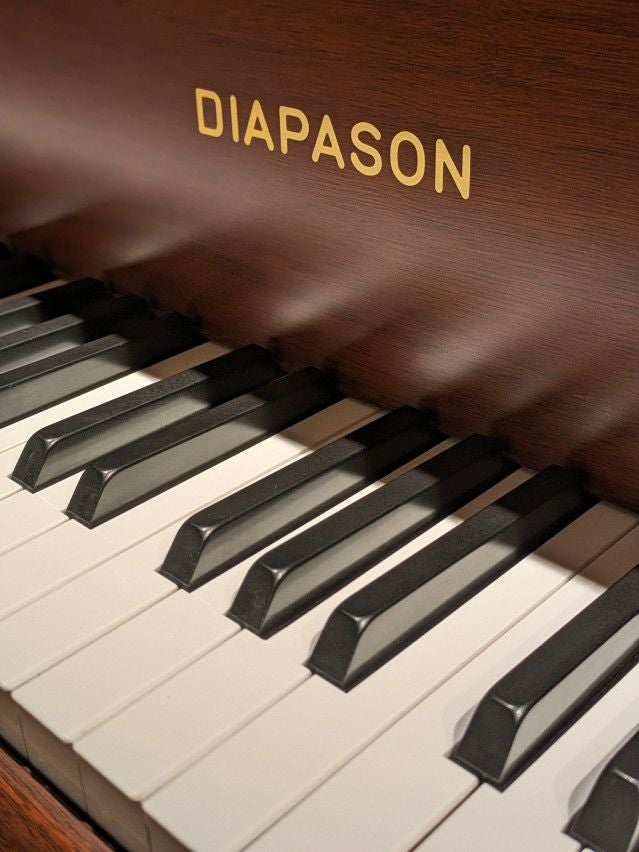 DIAPASON(ディアパソン) D183BG 中古グランドピアノ 重厚な響きと