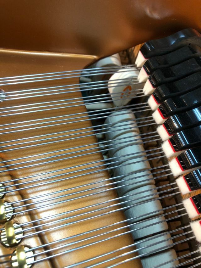 BOSENDORFER（ベーゼンドルファー） 200 中古グランドピアノ 「音楽の