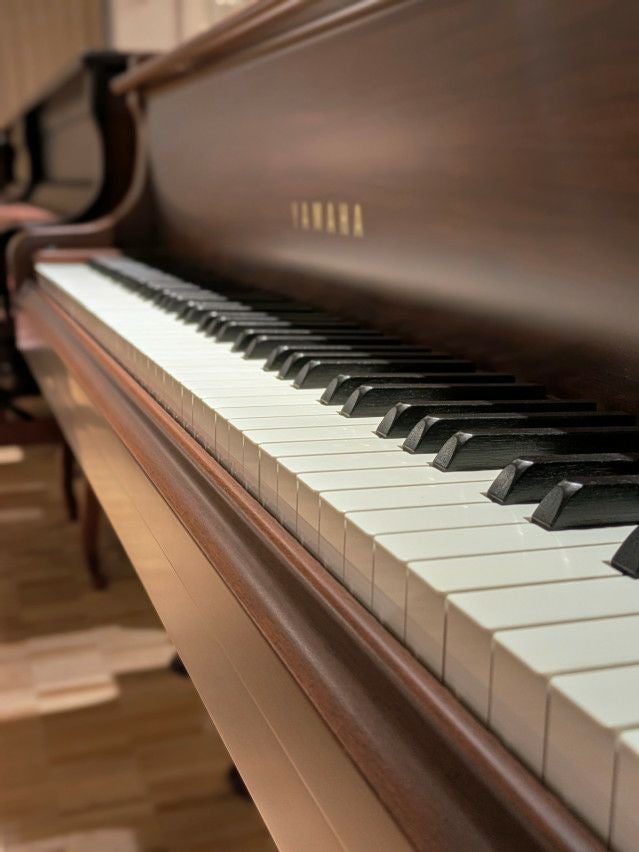 YAMAHA(ヤマハ) C3Wn 中古グランドピアノ 希少な艶消しウォルナット YAMAHA(ヤマハ) C3Wn 中古グランドピアノ 希少な艶消しウォルナット