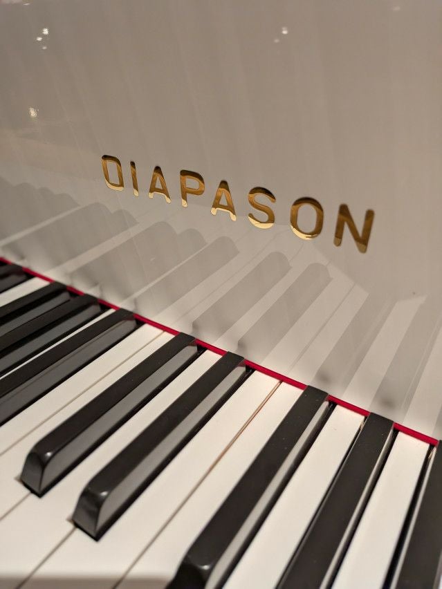 展示情報】DIAPASON（ディアパソン） 170E コストパフォーマンスの高い