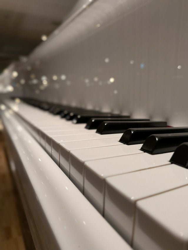DIAPASON（ディアパソン） 170E 中古グランドピアノ コスト