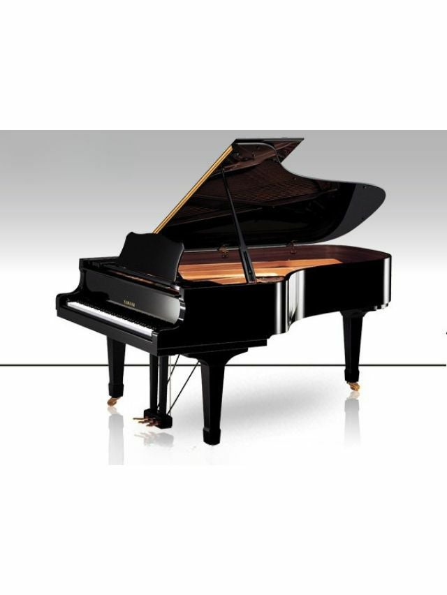 000000002187-01.jpg?size=m&w=